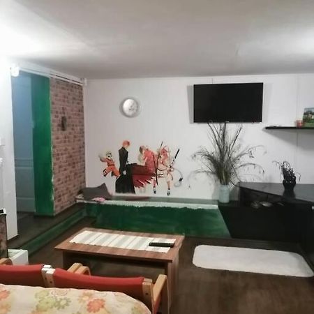 Apartamento Moss'S Cave Timisoara Exterior foto
